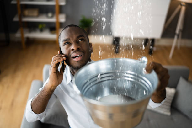 Best Carpet water damage restoration  in Federalsburg, MD