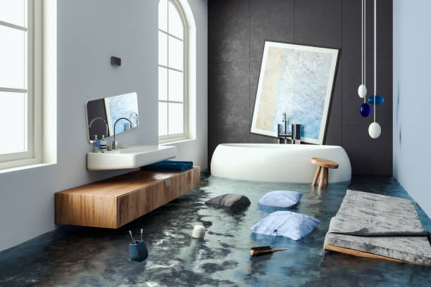 Best Emergency water damage restoration  in Federalsburg, MD