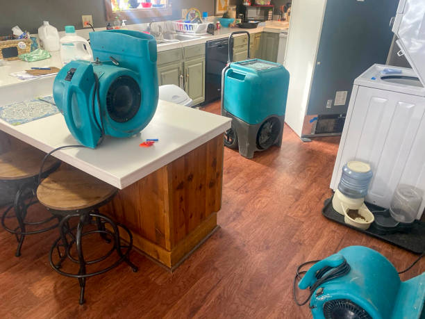 Best Water damage restoration near me  in Federalsburg, MD