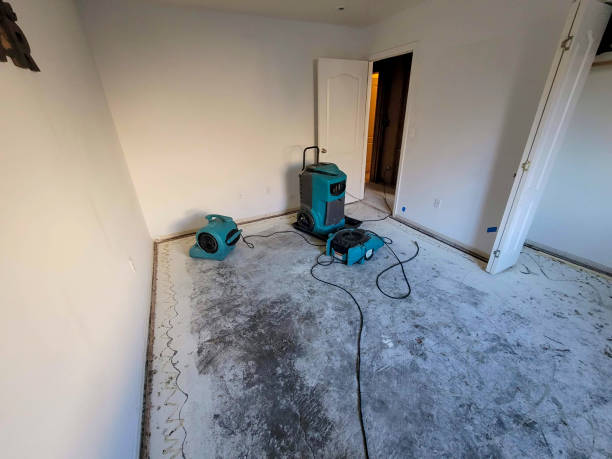 Best Ceiling water damage repair  in Federalsburg, MD