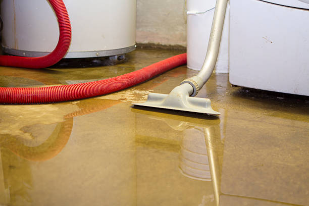 Best 24/7 water damage repair  in Federalsburg, MD