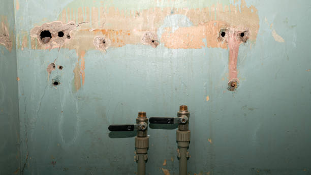 Best Flooded house restoration  in Federalsburg, MD