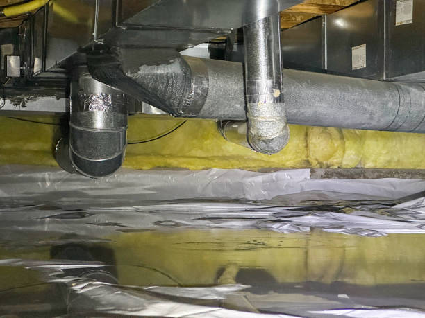 Best Professional water damage repair  in Federalsburg, MD