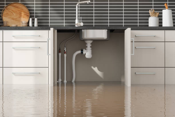 Best Flood restoration services  in Federalsburg, MD