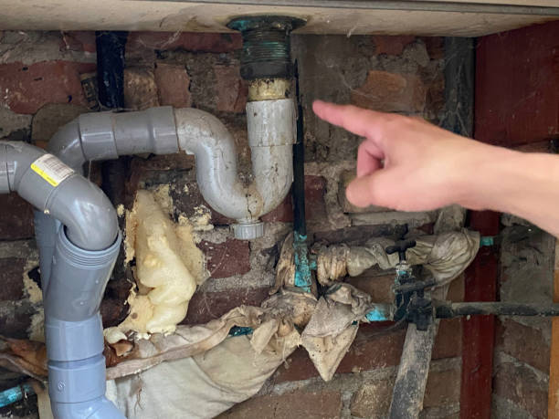 Federalsburg, MD Water damage restoration Pros